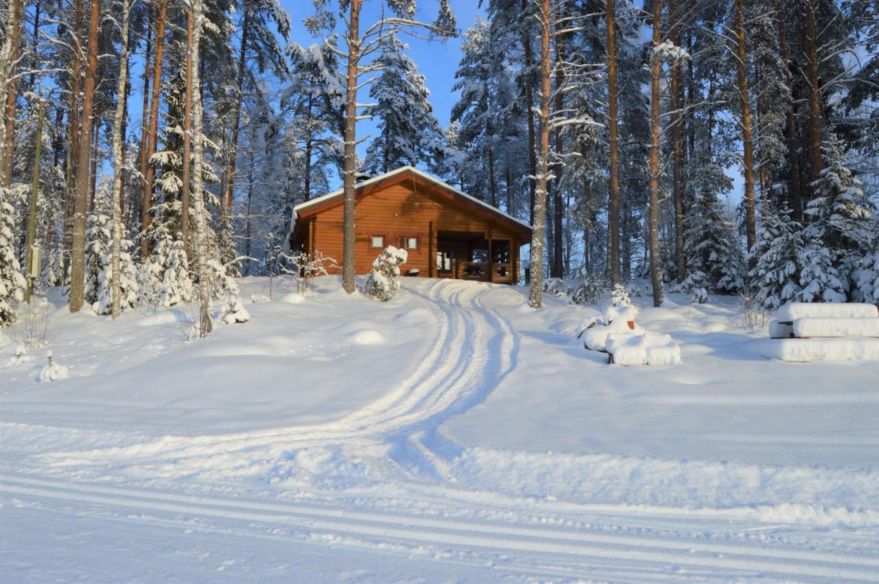 Rinnepelto Holiday Cottages ターコブオリ エクステリア 写真