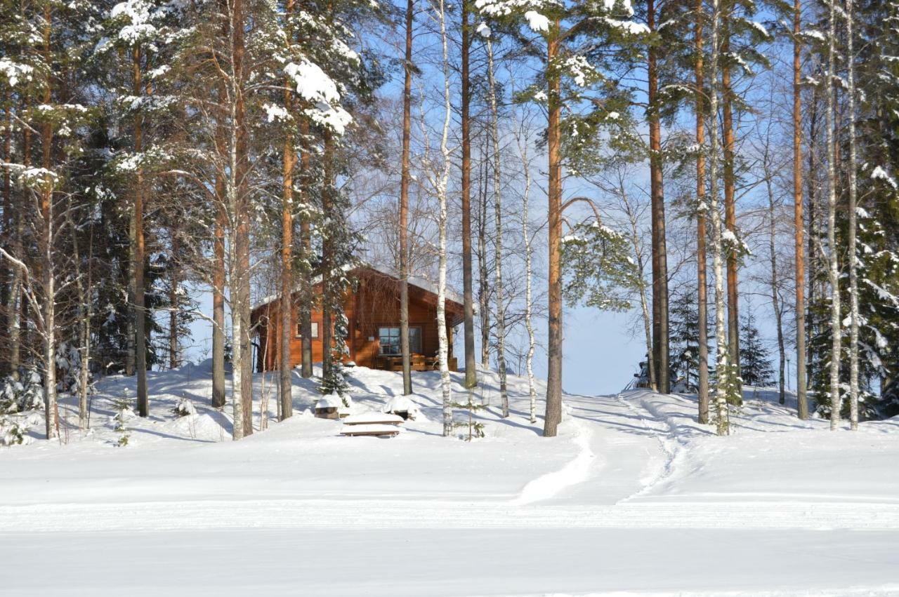 Rinnepelto Holiday Cottages ターコブオリ エクステリア 写真